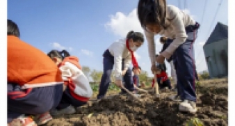 一碗炒飯，一日農民，一種感恩。