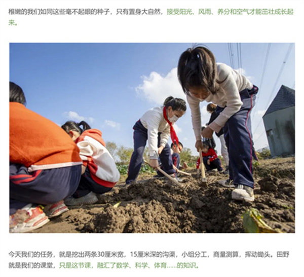 一碗炒飯，一日農民，一種感恩。(圖4)