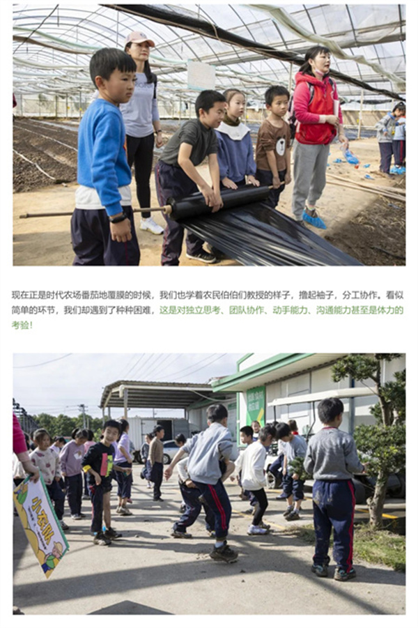 一碗炒飯，一日農民，一種感恩。(圖6)